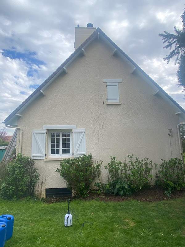 Après application fongicides muraux Caen