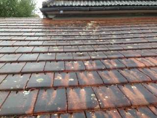 Démoussage toit tuiles Caen