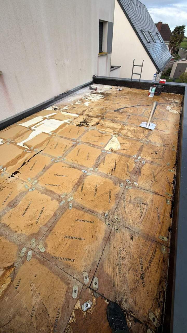 WhatsApp Image 2026 03 14 at 09.12.10