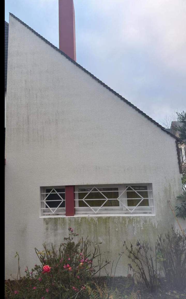 Traitement fongicide avant