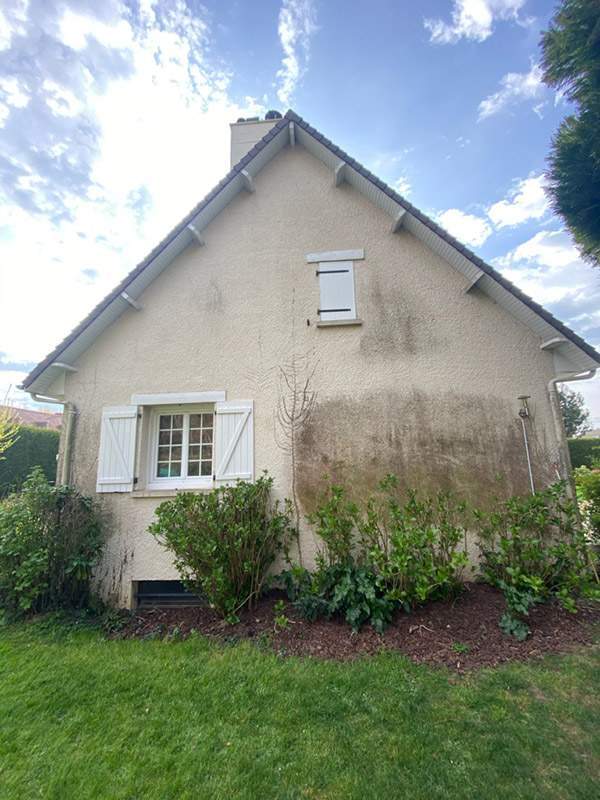 Avant application fongicide murs Caen